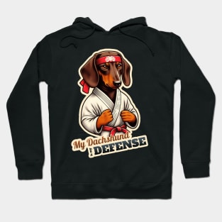 Karate Dachshund Hoodie